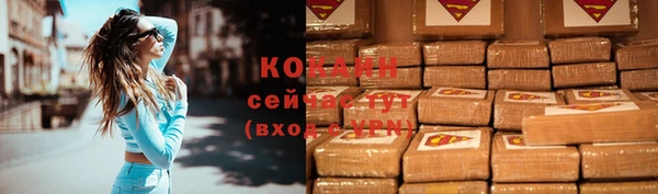 тгк Богданович