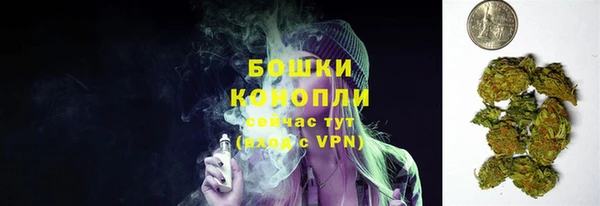 тгк Богданович