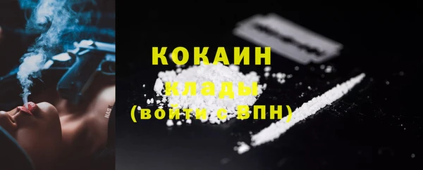 тгк Богданович