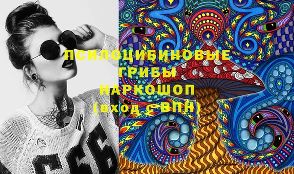 тгк Богданович