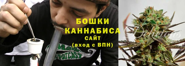 тгк Богданович
