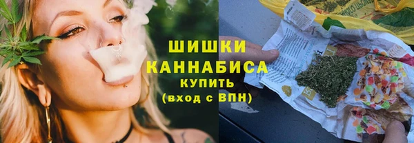 тгк Богданович